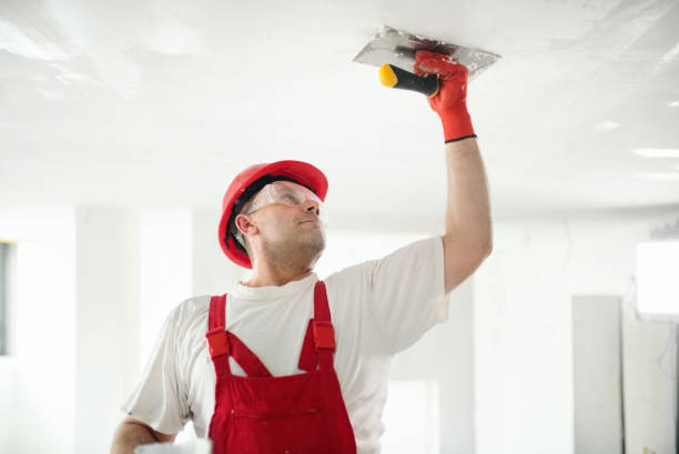 Best Wallpaper Removal and Painting  in Westfield, IN