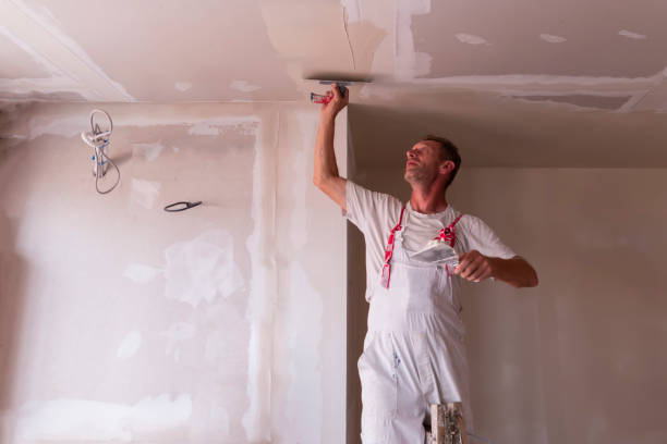 Best Drywall Installation  in Westfield, IN