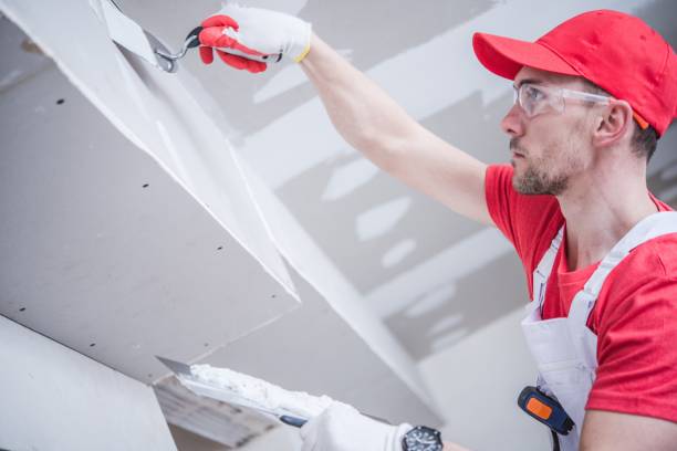 Best Ceiling Drywall Installation  in Westfield, IN